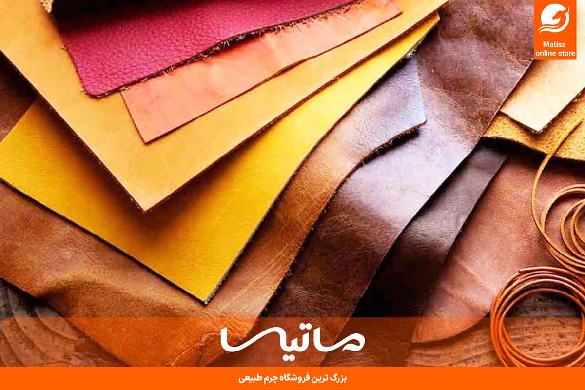 چرم لیزارد چیست