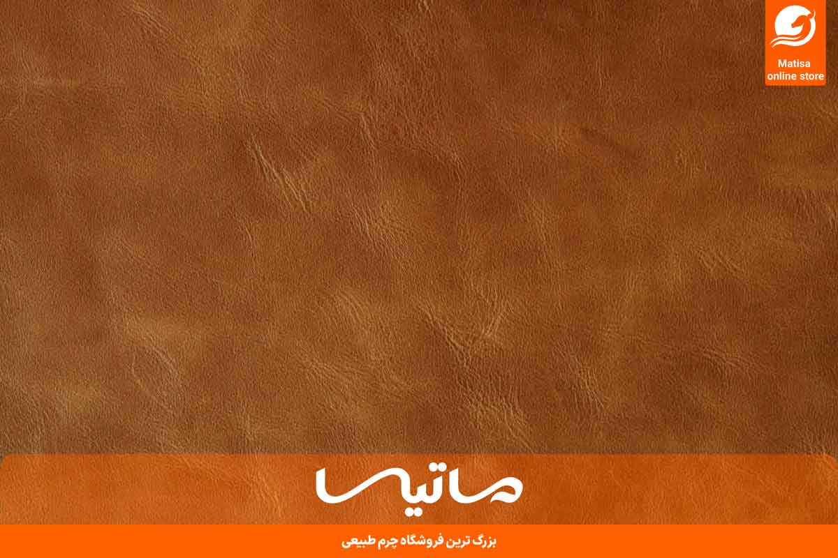 چرم اسب