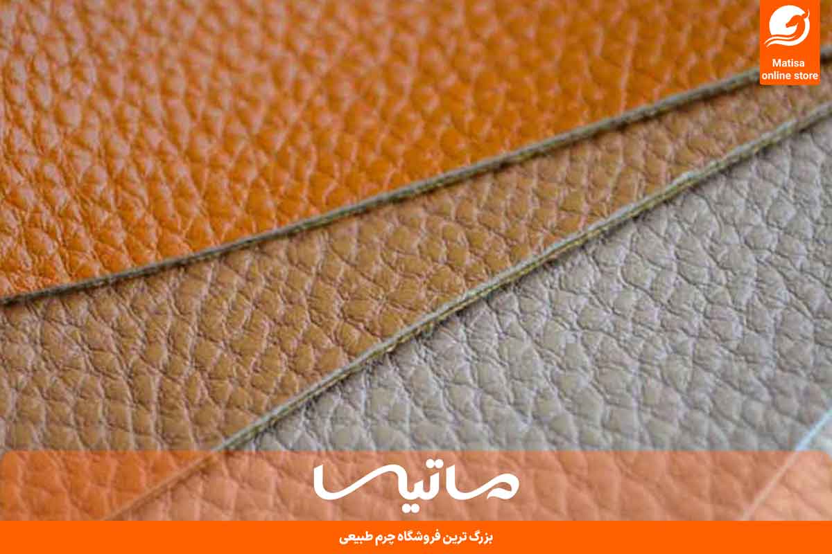 چرم بیاله چیست