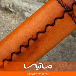 چرم بیاله چیست