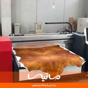 کاربرد فناوری های نانو در صنعت چرم