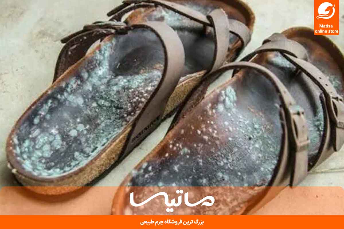 چگونه از کپک زدن چرم جلوگیری کنیم