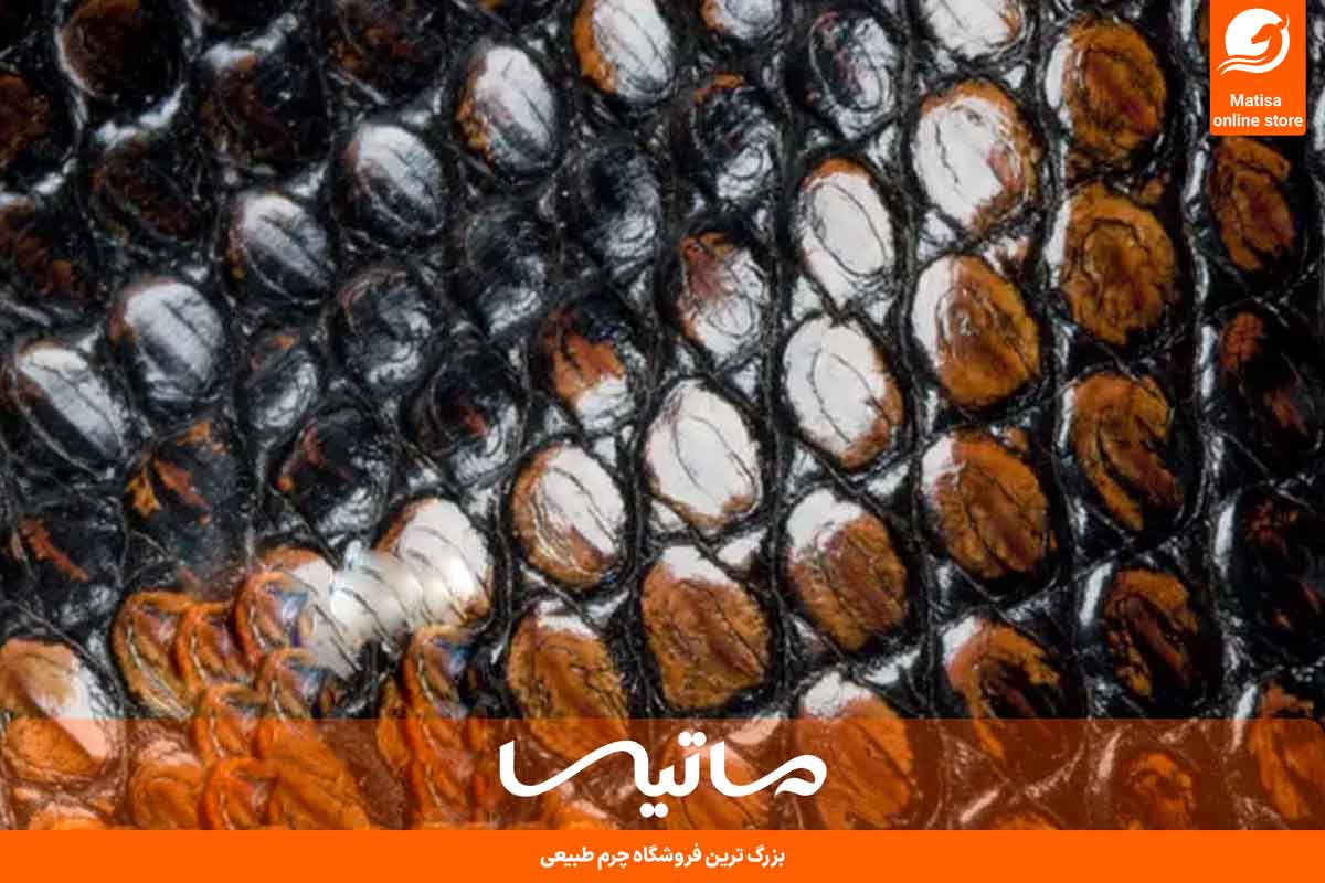 گران‌ترین چرم دنیا