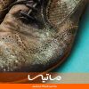 چگونه از کپک زدن چرم جلوگیری کنیم
