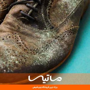 چگونه از کپک زدن چرم جلوگیری کنیم