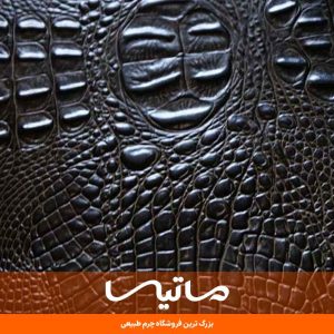 انواع چرم عجیب در دنیا