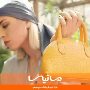 مینی بگ